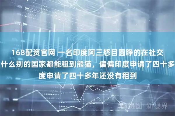 168配资官网 一名印度阿三怒目圆睁的在社交网站抱怨，为什么别的国家都能租到熊猫，偏偏印度申请了四十多年还没有租到