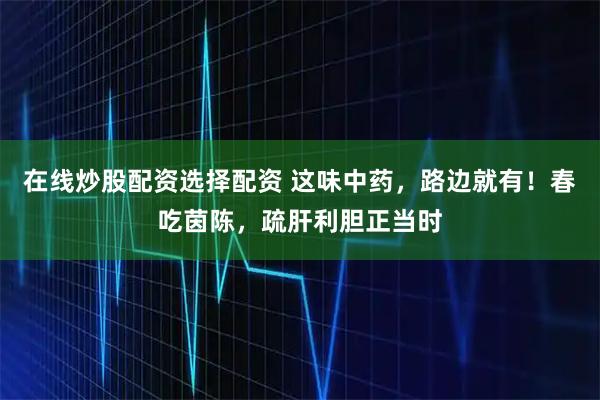 在线炒股配资选择配资 这味中药，路边就有！春吃茵陈，疏肝利胆正当时